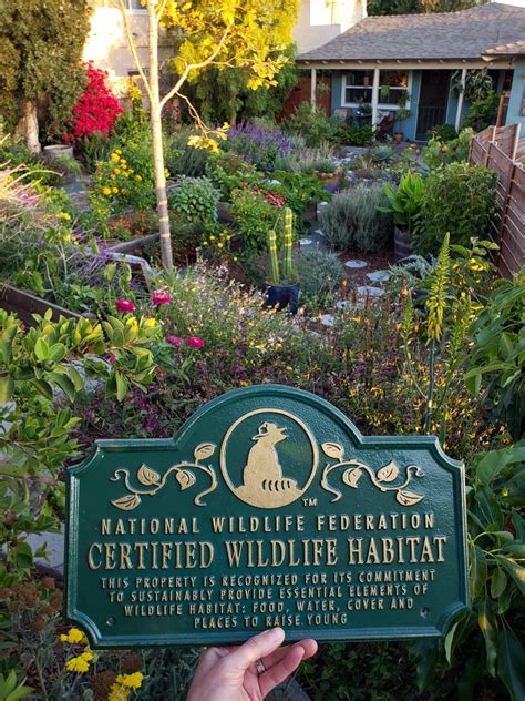 How To Turn Your Yard Or Garden Into A Certified Wildlife Habitat