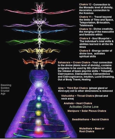 Simply The 12 Chakra System Brings Forth The Vision Of Our Connection