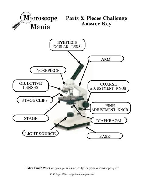 Https://tommynaija.com/worksheet/color The Parts Of The Microscope Worksheet Answer Key