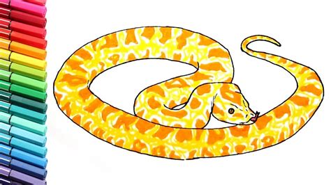 Snake Coloring Pages For Kids Drawing And Learning Colors With Wild