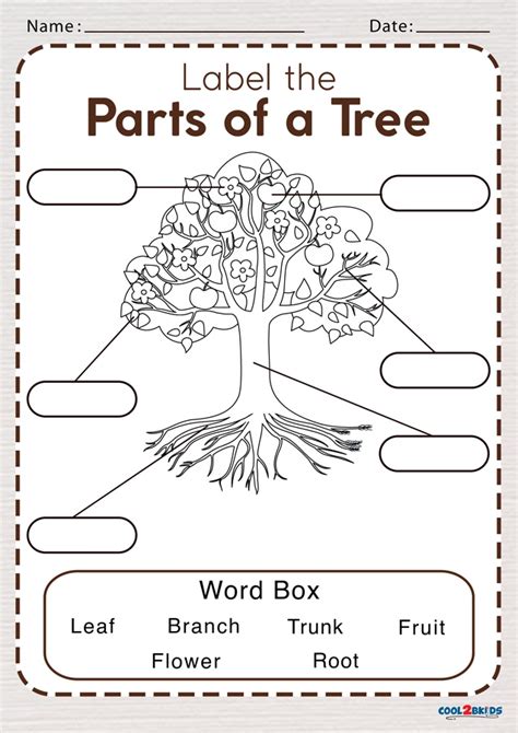 Free Printable Parts Of A Tree Worksheet
