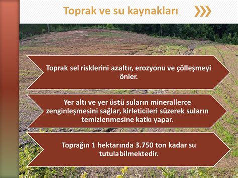 Toprak En kıymetli hazinemiz DOĞA VE SÜRDÜRÜLEBİLİRLİK DERNEĞİ