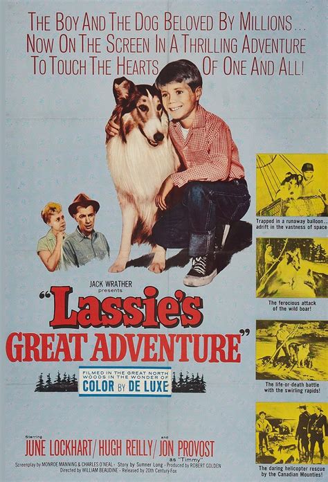 La Gran Aventura De Lassie Película 1963 Tráiler Resumen Reparto