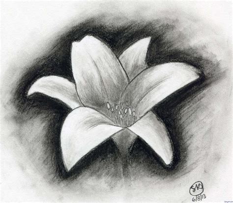 10 Images Of Charcoal Drawings Easy Charcoal Drawings Charcoal