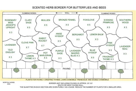 Scented Herb Border For Buterflies And Bees Garden Planning Garden