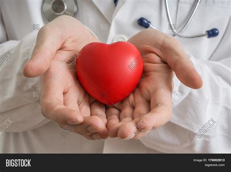 Heart Transplantation Image And Photo Free Trial Bigstock