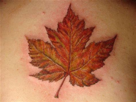 Maple Leaf Tatt By Chicanochop On Deviantart