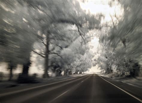 Free Images Light Black And White Fog Road Mist Car Night