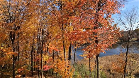 Dnr Most Of Minnesota Passes Peak Fall Colors