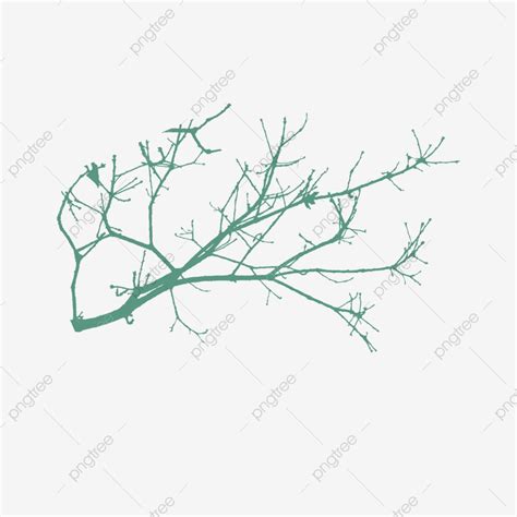 Green Tree Branch PNG Picture Spring Poster Green Tree Branch Png Branches Spring Branches