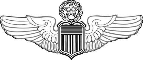 Command Pilot Badge Command Level