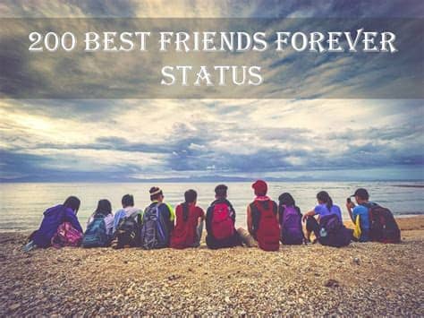 111:) if you find it hard to laugh at yourself, i would be happy to do it for you. 200 Best Friends Forever Status