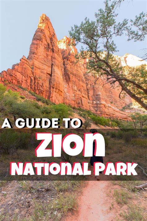 Zion National Park Free Brochure Brochure Background Artistic