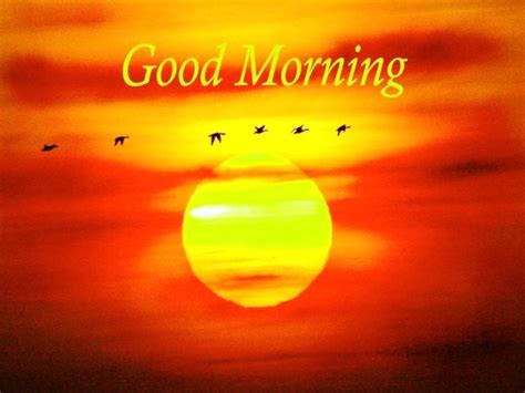 24 Wonderful Good Morning Greeting With Sunrise