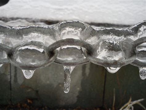 Free Images Branch Cold Winter Chain Frost Ice Frozen Drip