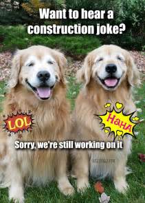 See, rate and share the best golden retriever memes, gifs and funny pics. Funny Golden Retriever Construction Joke Meme Postcard ...