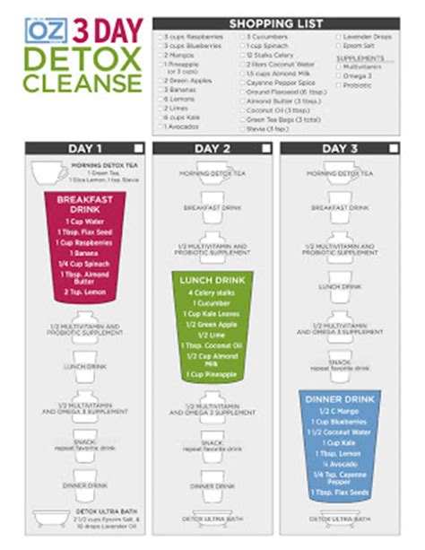 3 easy recipes to try. Diary of a Fit Mommy: Dr. Oz's 3 Day Cleanse & Detox with ...
