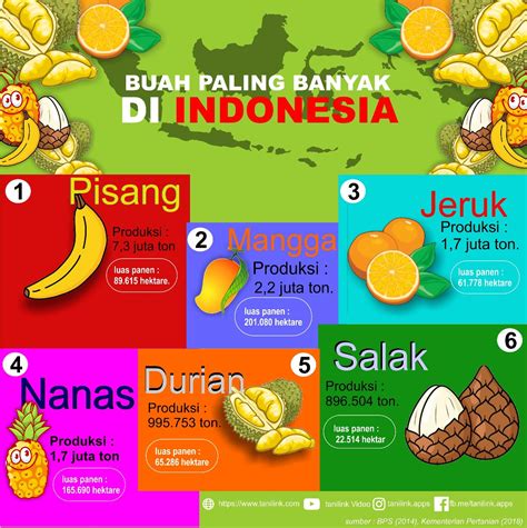 Infografis Inilah Buah Buahan Yang Paling Banyak Di Indonesia