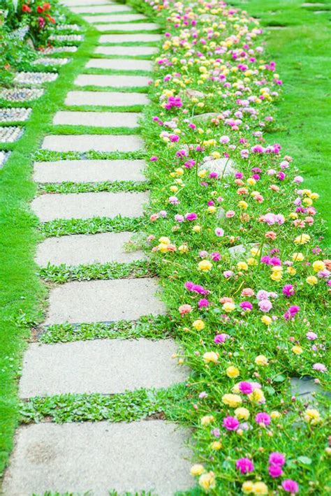 75 Garden Path Ideas And Designs Pictures Portulaca Flowers Ground