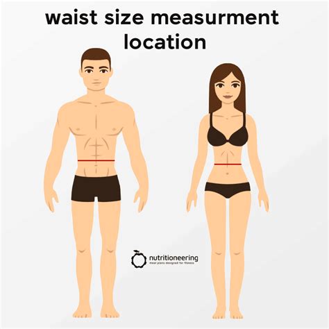 Is A 31 Inch Waist Normal Waist Size Statistics For Men And Women