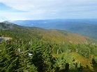 100 Years of NC State Parks: Mt. Mitchell State Park
