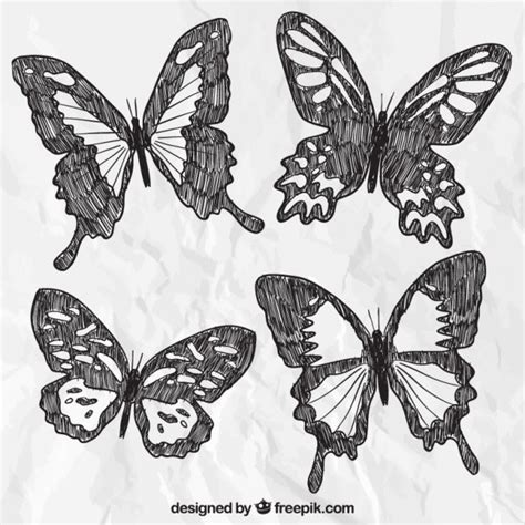 Hand Drawn Butterflies Vector Free Download