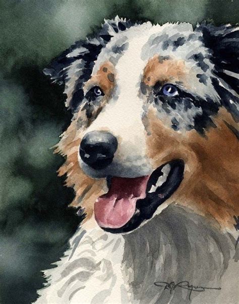 Australian Shepherd Art Print By Artist Dj Rogers Etsy Dog Print