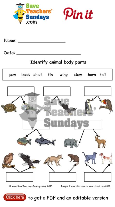 Pin On Year 1 Animals Including Humans Lesson Plans Worksheets And