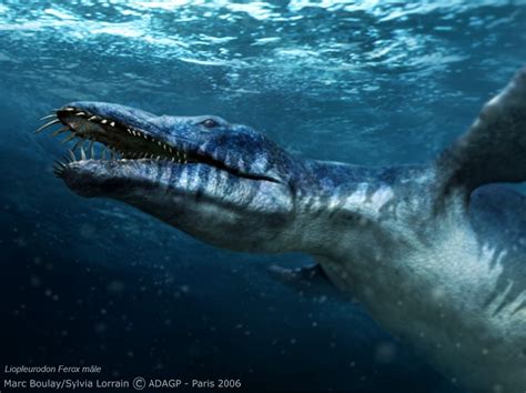 Liopleurodon Pictures And Facts The Dinosaur Database