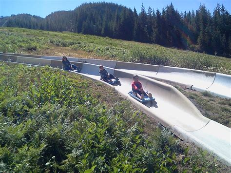 The Alpine Slide Near Portland That Will Take You On A Ride Of A Lifetime