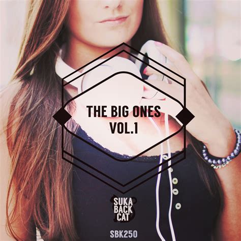 Various The Big Ones Vol 1 At Juno Download
