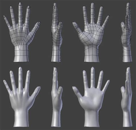 Attachment Php Hand Model Topology Anatomy Reference