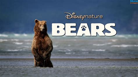 Bears 2014 Disney Movie Page 8324 Movie Hd Wallpapers