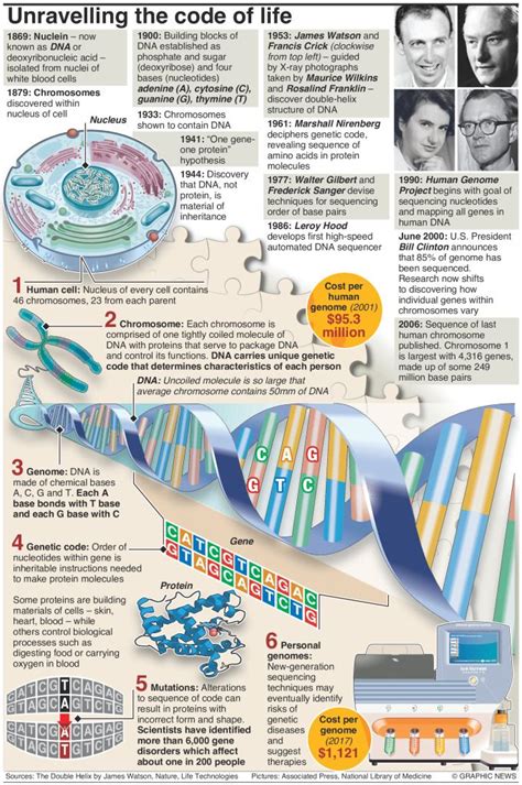 Discovery Of Dna Double Helix 65th Anniversary Of Crick And Watsons