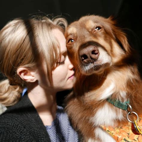 10 Dog Photos That Prove Amanda Seyfried Is Going To Be The Best Mom