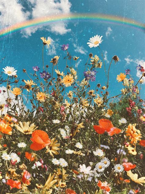 Fleurs — Siobhan Odwyer Art Flower Aesthetic Flower Wallpaper