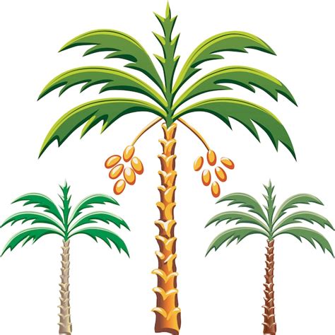 Set Of The Date Palm Trees Various Color Options Premium Vector
