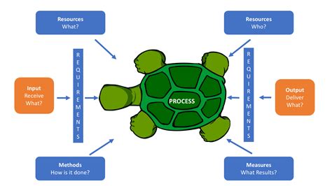 Turtle Diagram Explained