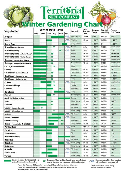 Zone 8a Vegetable Planting Calendar