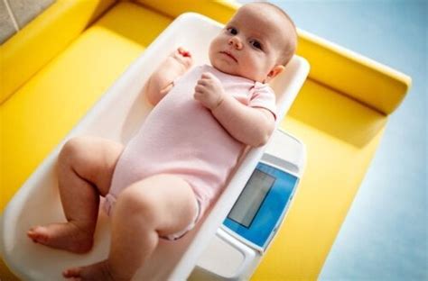 Indice Di Massa Corporea BMI Nei Bambini E Nei Neonati