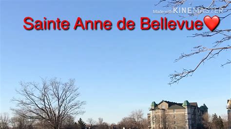 Next Stop: SAINTE ANNE de BELLEVUE - YouTube