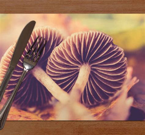 Evasive Wild Mushroom Modern Placemats Tenstickers