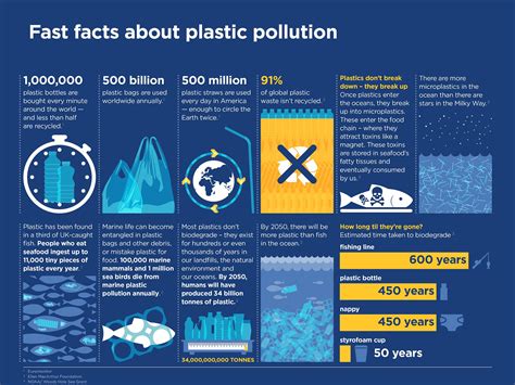 Plastic Pollution Diagram