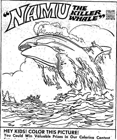 Killer whale coloring pages with wallpapers high quality free printable pictures of killer whales cute killer whale is Mostly Paper Dolls: NAMU, The Killer Whale - Coloring ...