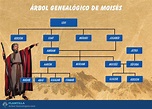 El árbol genealógico de Moisés ️ Su importancia en la historia