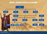 El árbol genealógico de Moisés ️ Su importancia en la historia