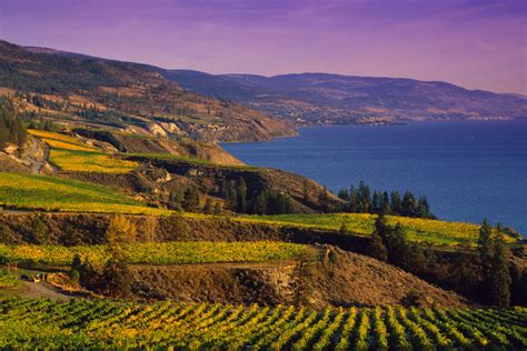 The Okanagan Valley Wine Region Wine Producing Area Canada