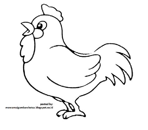 Mewarnai Gambar Mewarnai Gambar Sketsa Hewan Ayam 1