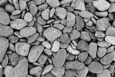 Smooth Stones Texture Background Atlantic Pebbles Stock Image Image