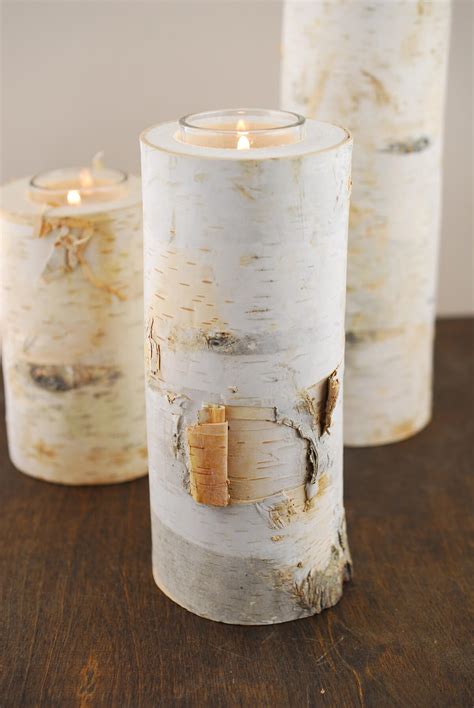 8 Natural Birch Tree Branch Candle Holders